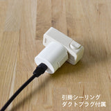 照明器具飾り「ニッショク」